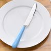 blue steak knife