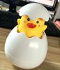 duck
