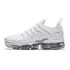 40-45 PURE PLATIUM