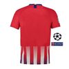 home+Champion patch