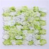 Green Hydrangea