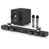 A9 WS9 MIC x 2