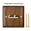 1-Gang-Multi-Control