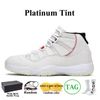 11S Platinum TINT