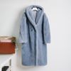 Blue Teddy Coat