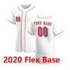 Flex Base 2020