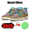 #31 Desert Moss