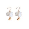 Ear hook models