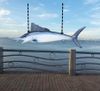Pesce spada intero - Appendiabiti-140 * 40 cm