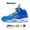 3 # Bluebird 40-47