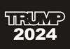 SZ016 Trump 2024 Autoaufkleber -6