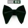 SR08 Verte Chine