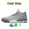 3s gris cool