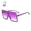 C11 Sandy Purple / Progressive Purple