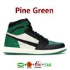 35. Pine Green