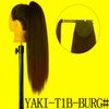 Yaki-t1b-burg