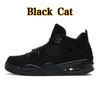 Cat noir 4s