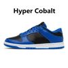 #23 Hyper Cobalt