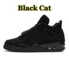 4S قطة أسود