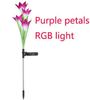RGBライトの紫色の花びら