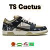07 ts cactus