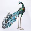 paacock2