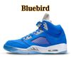5 Bluebird