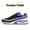 36-45 Violet persa