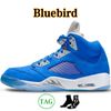 5S Bluebird