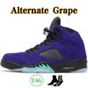 5s Alternate Grape