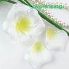 white yellow