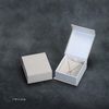 Pendant/Earring Box