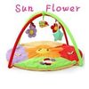 Sun flower