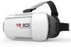 VR1