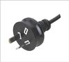 220V AU plug