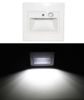 White white lights