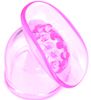 Lily Pod