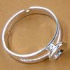 Silver Plated
