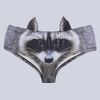 raccoon