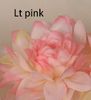 Lt roze