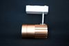 Rose gold 20W