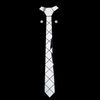 Silver Color Tie Set