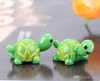 option 6 yellow green turtle