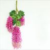 fuchsia72cm