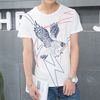 White Eagle
