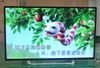 42Inch