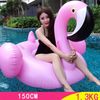 150cm Flamingo