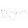 Clear Frame Clear Lens
