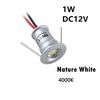 1W 12V 120D NW