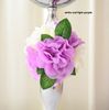 white and light purple
